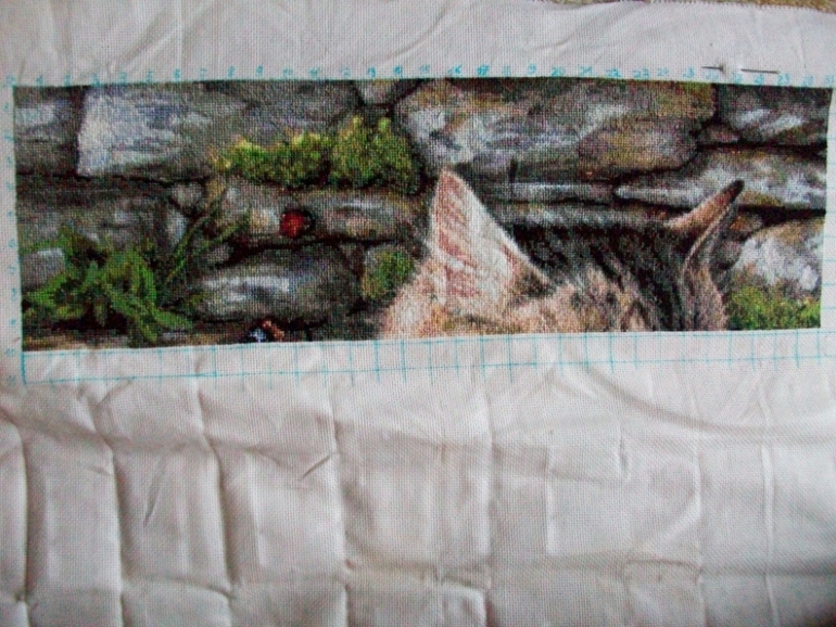 отчёт о котике)