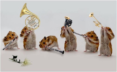 А у Лексы ДР!