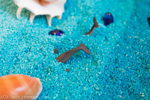 Сухое плавание, морская сенсорная коробка.