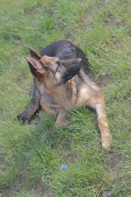 Еще не показывала мое прибавление :)
