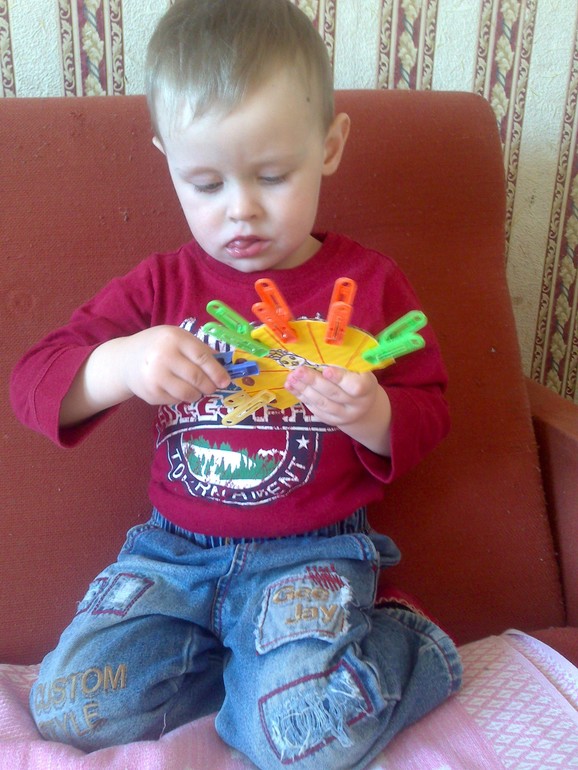 ТЗ " Экзотические птицы"