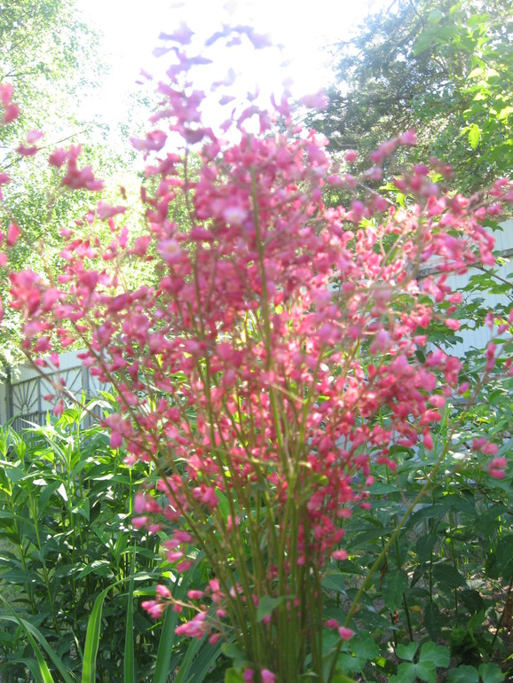 Летние, часть 1)