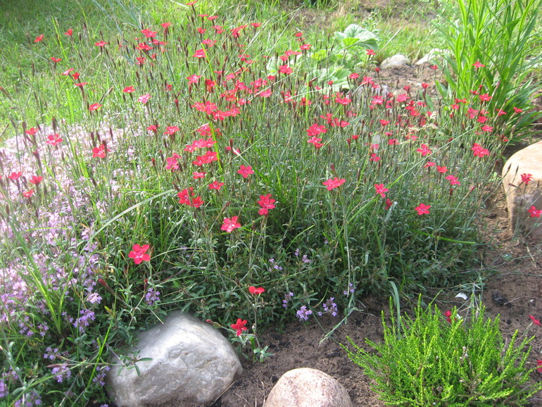 Летние, часть 1)