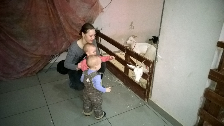 Какие мы в год :)