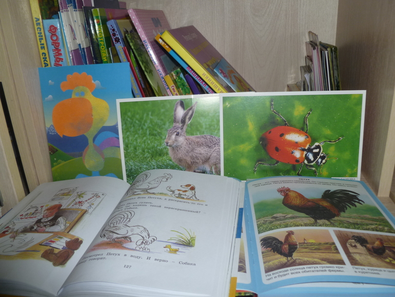 ТЗ "Петух и краски" (проект "Читаем и играем")