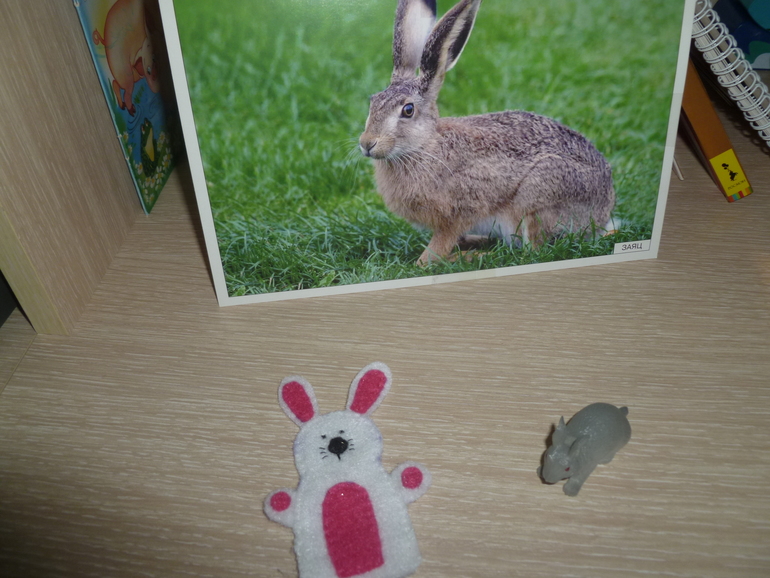 ТЗ "Петух и краски" (проект "Читаем и играем")