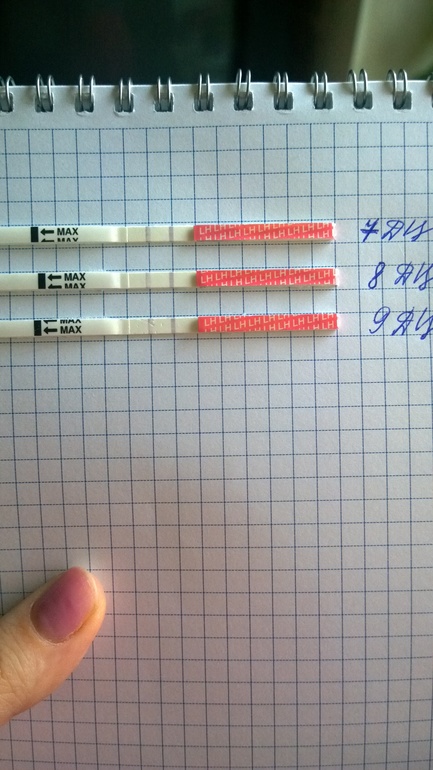 Очередной тест...