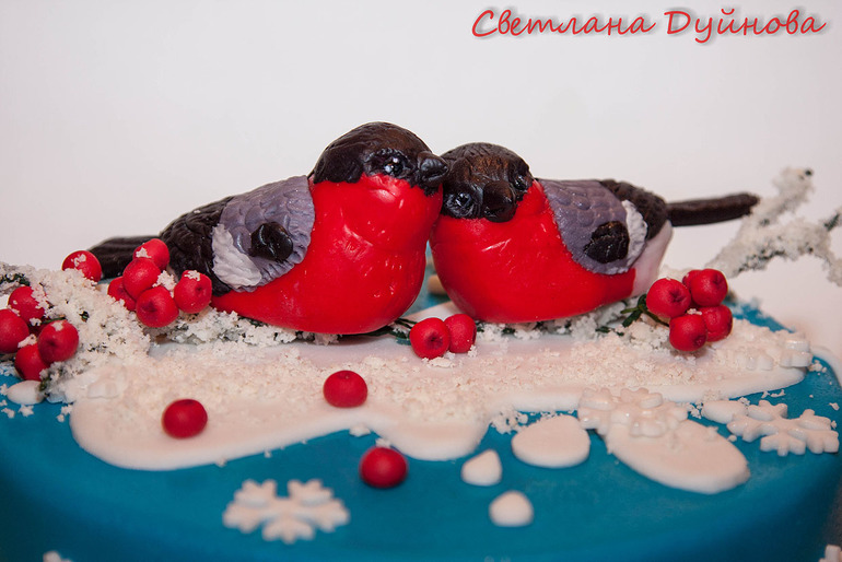 Снегири не гири!!!