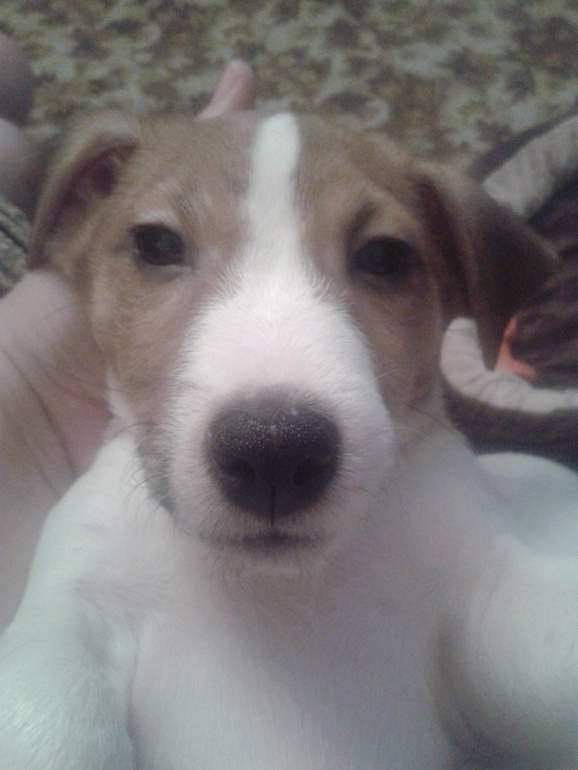 Год подходит к концу, пора подводить итоги