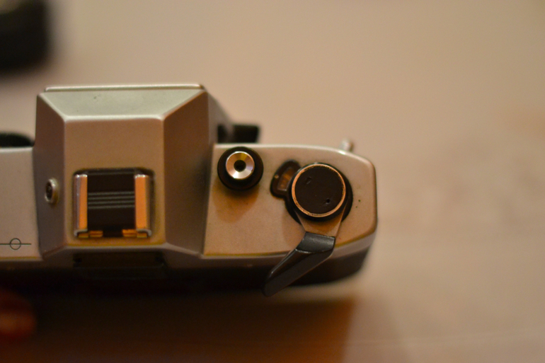 Мой новый друг!