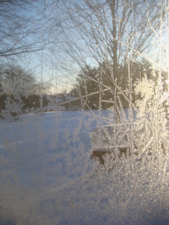 C корнем вырваный день.