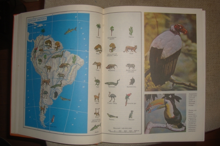 Что такое. Кто такой