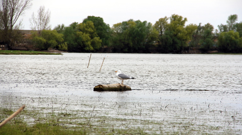 Весна в Астраханской деревне