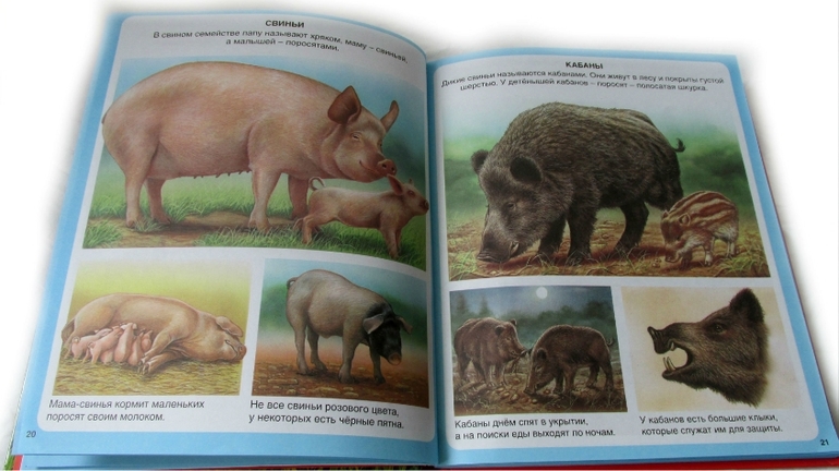 Животные - Твоя первая энциклопедия от Махаона