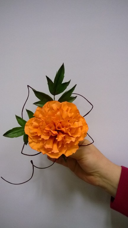 Первый припервый