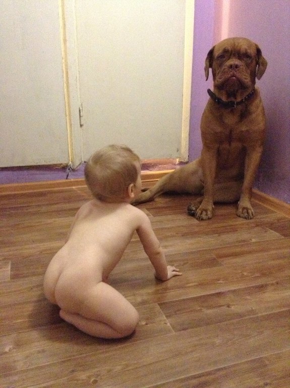 Голые попки)))