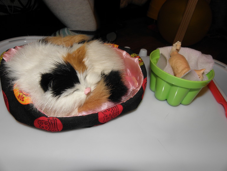 ТН Мои любимые потешки. Котенька-Коток