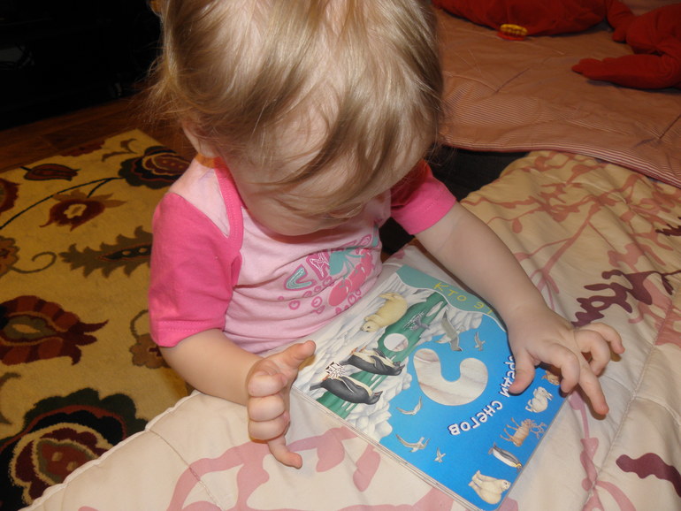 ТН Погодные явления. День 4: Снегопад, лед.