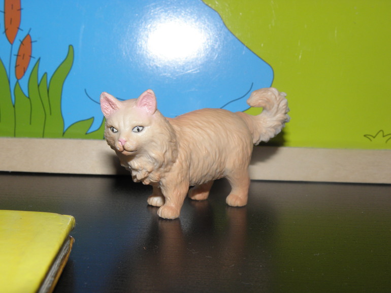 ТД №2 Кошка