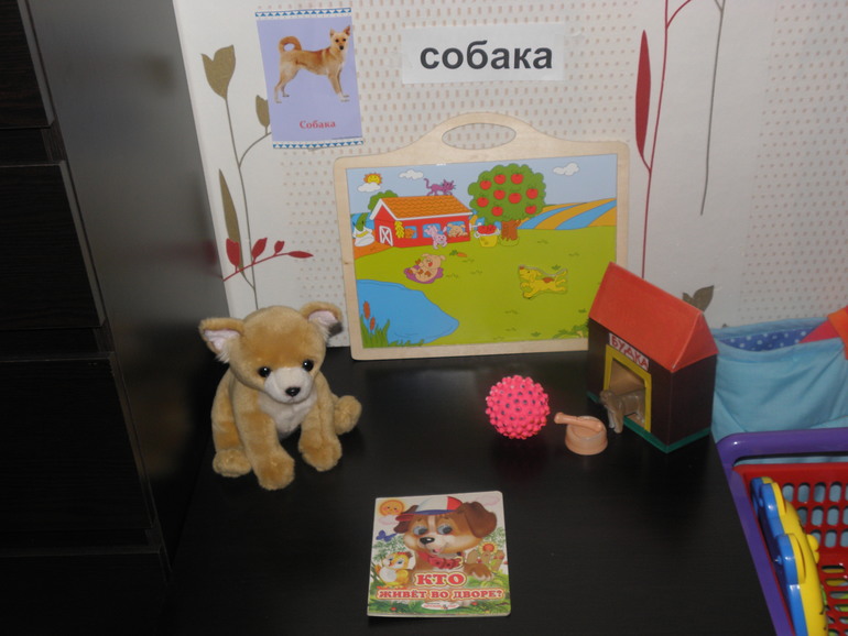 ТД Собака