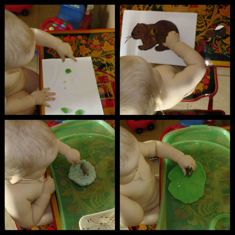 ТН "Лесные животные"