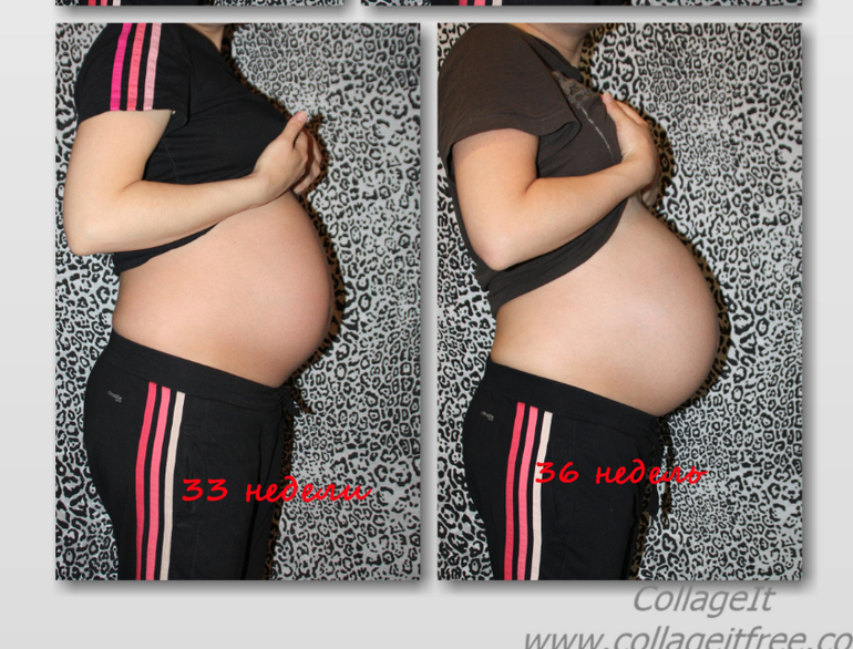 36 недельный отчёт и фотки