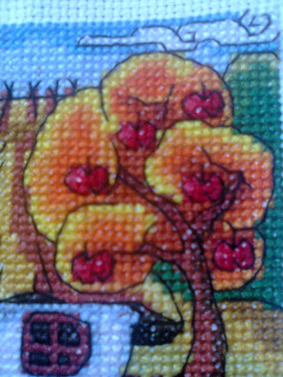 Осенняя Буковина