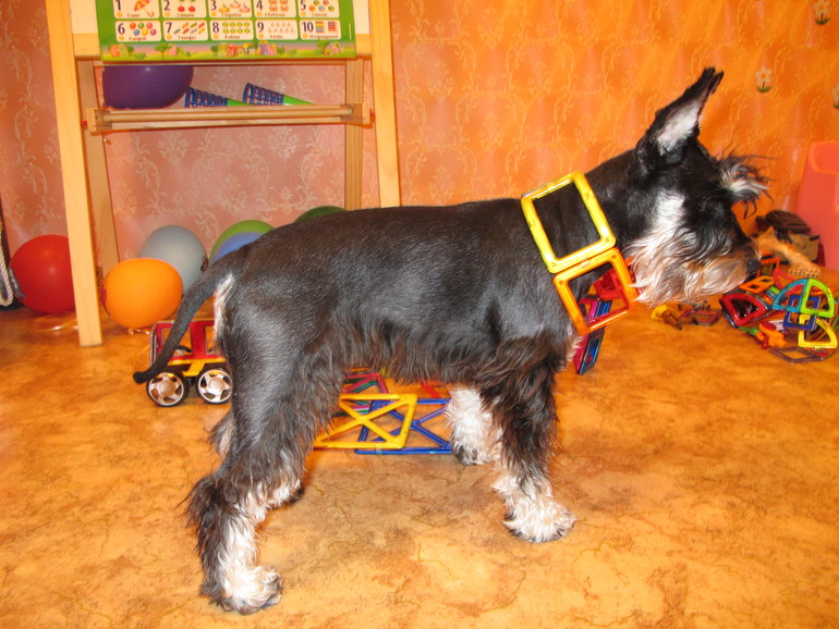 И мы хотим похвалить Magformers