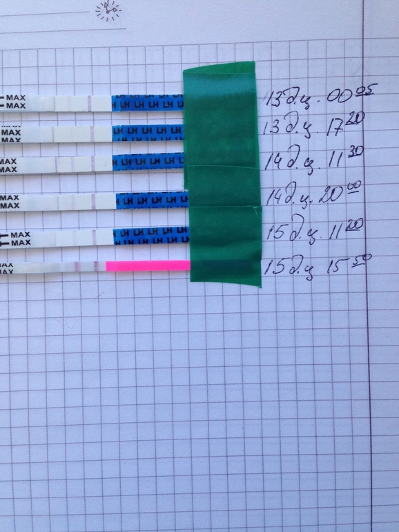 Это она родимая?)