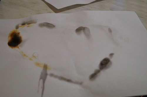 19 и 20 мая. Сделать чёртиков из намыленных волос и писАть молоком.