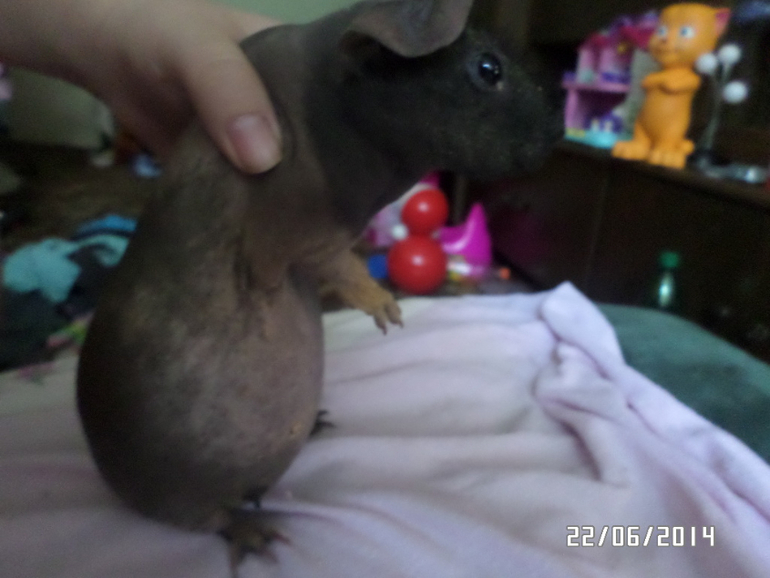 Беременные фотки))