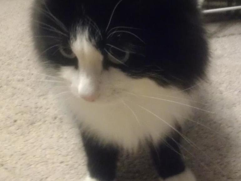 Большое СПАСИБО )))