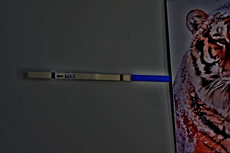 9 дпо и тест