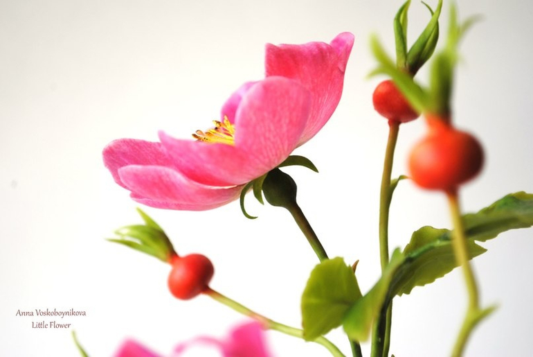 Шиповник из полимерной глины