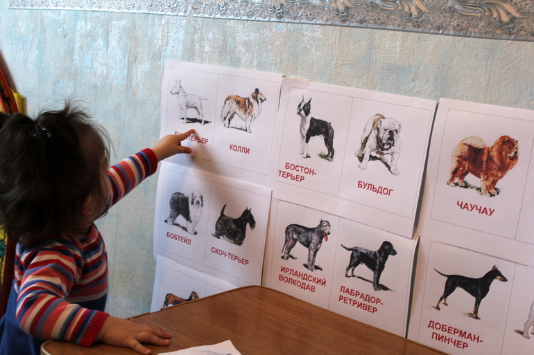 Отчет по мини-ТН