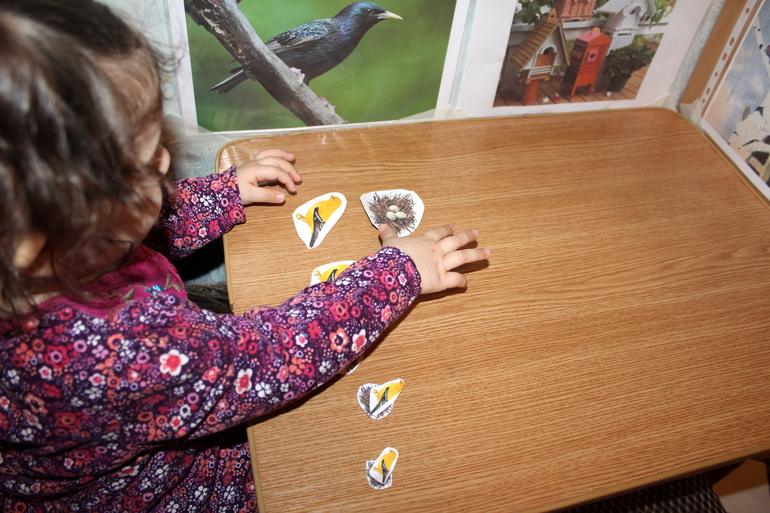 ТН "Весна".  День 4 ".  Здравствуйте птицы!"