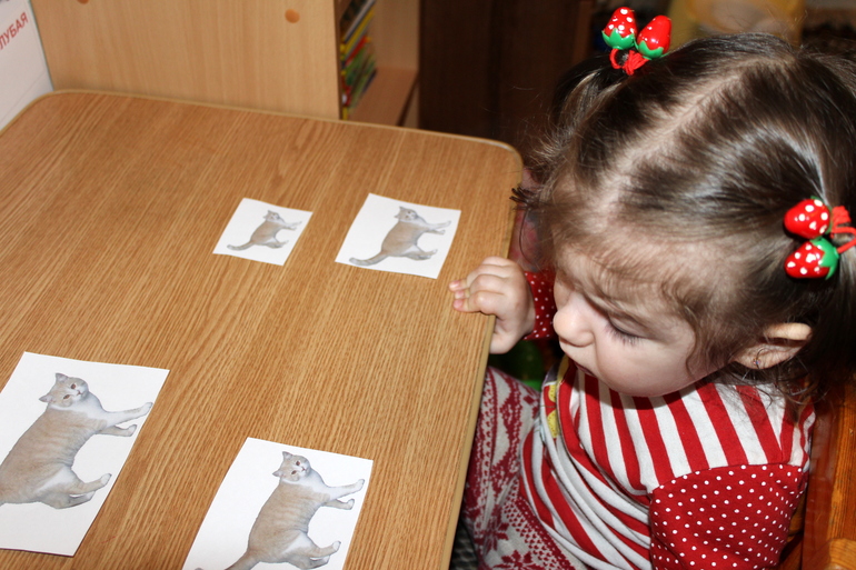 Отчет по мини-ТН