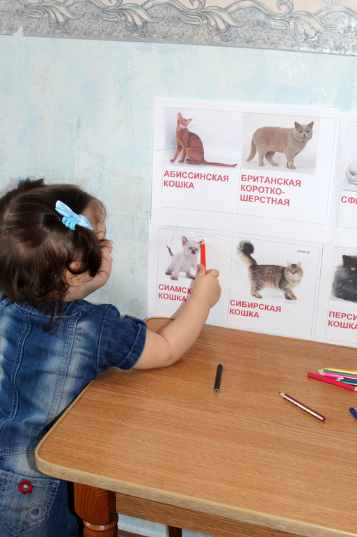 Отчет по мини-ТН