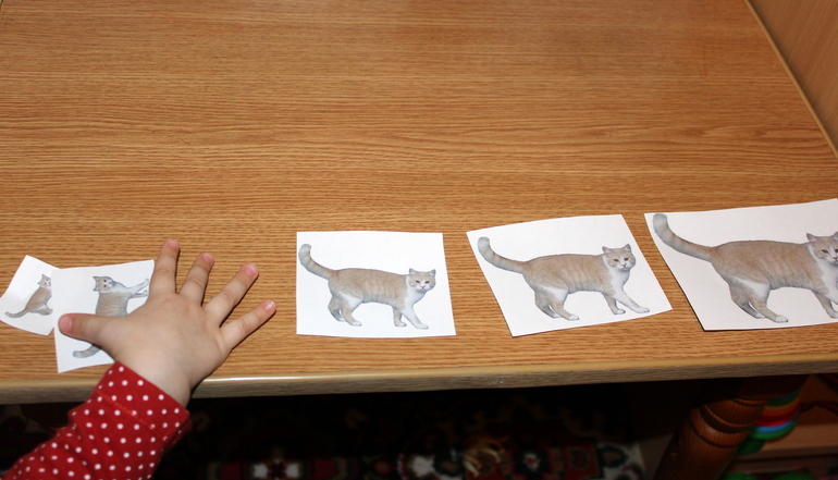 Отчет по мини-ТН