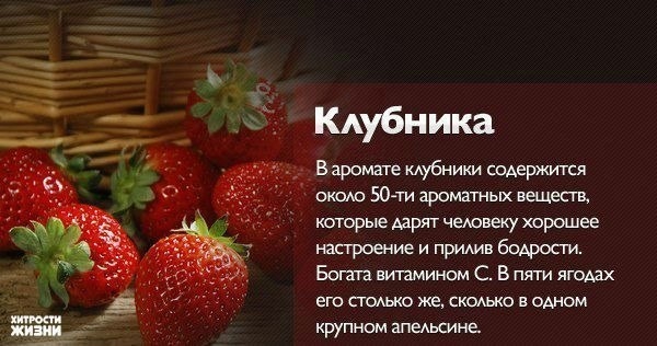 продолжение вкусного и полезного