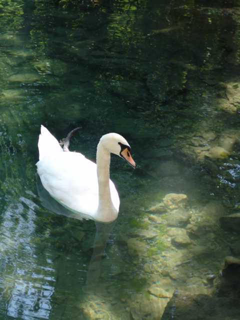 Алупка. Воронцовский дворец.