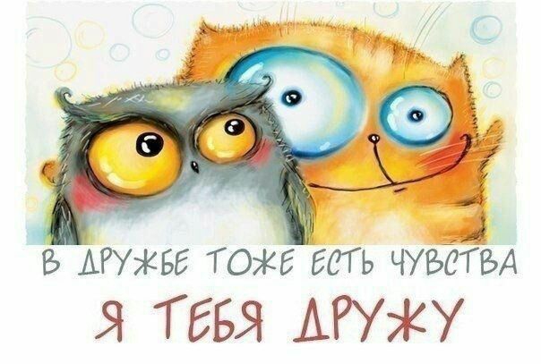♡♡♡ДРУЖБА♡♡♡♡