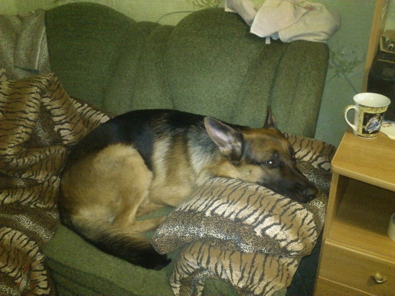 вот такие мы....