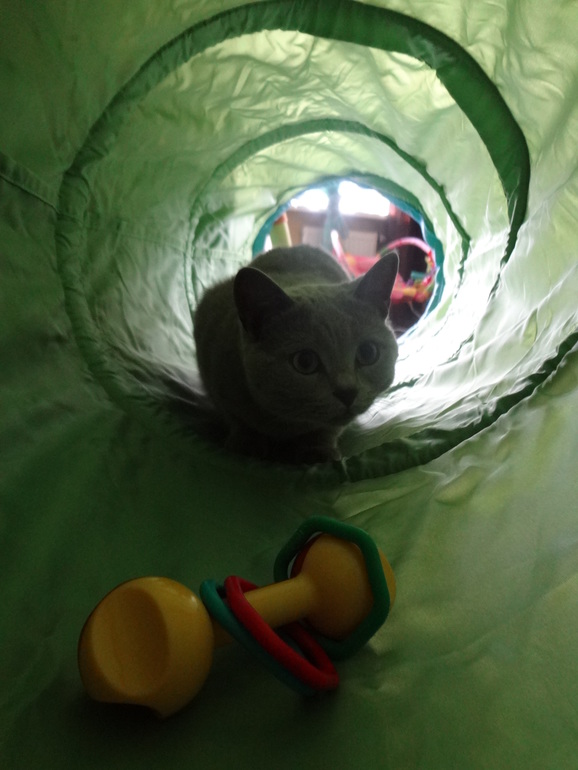 Фото в тоннеле