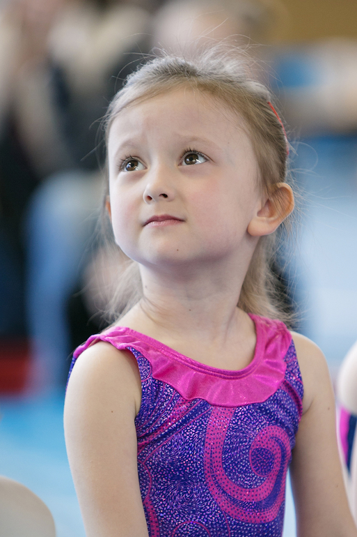 спортивная гимнастика