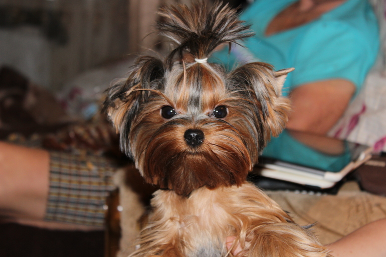 Наш мелкий шкет ЛяЛя