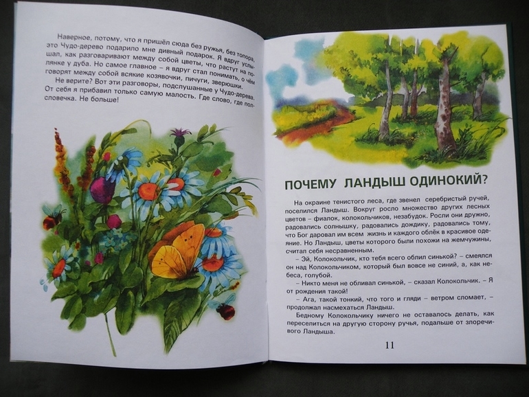 Первое пополнение лета