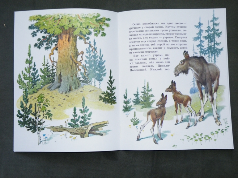 Новые книги - фото отчет