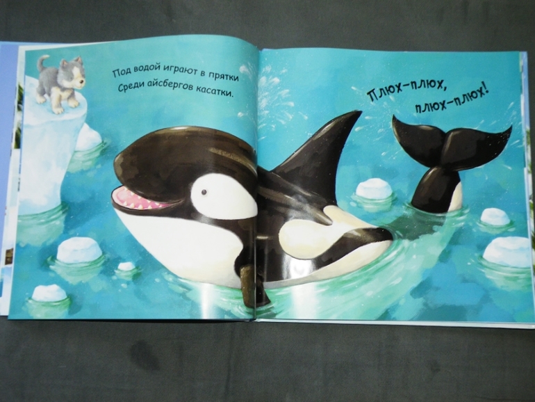 Новые книги - фото отчет