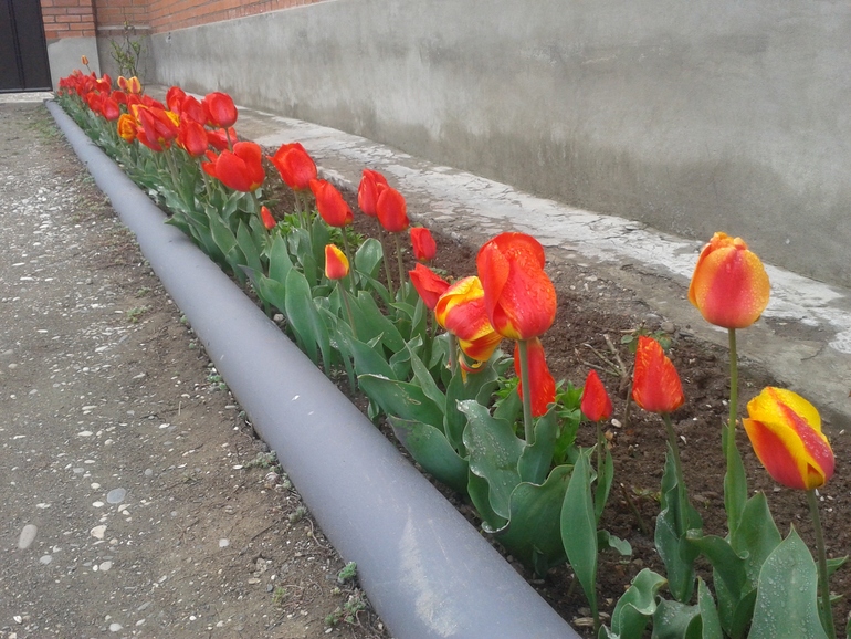 Моя радость